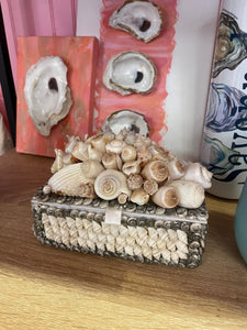 Sea Shell Box