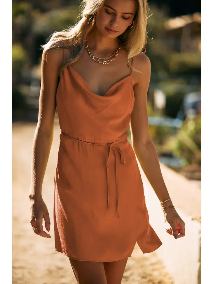 Terra Cotta Satin Dress